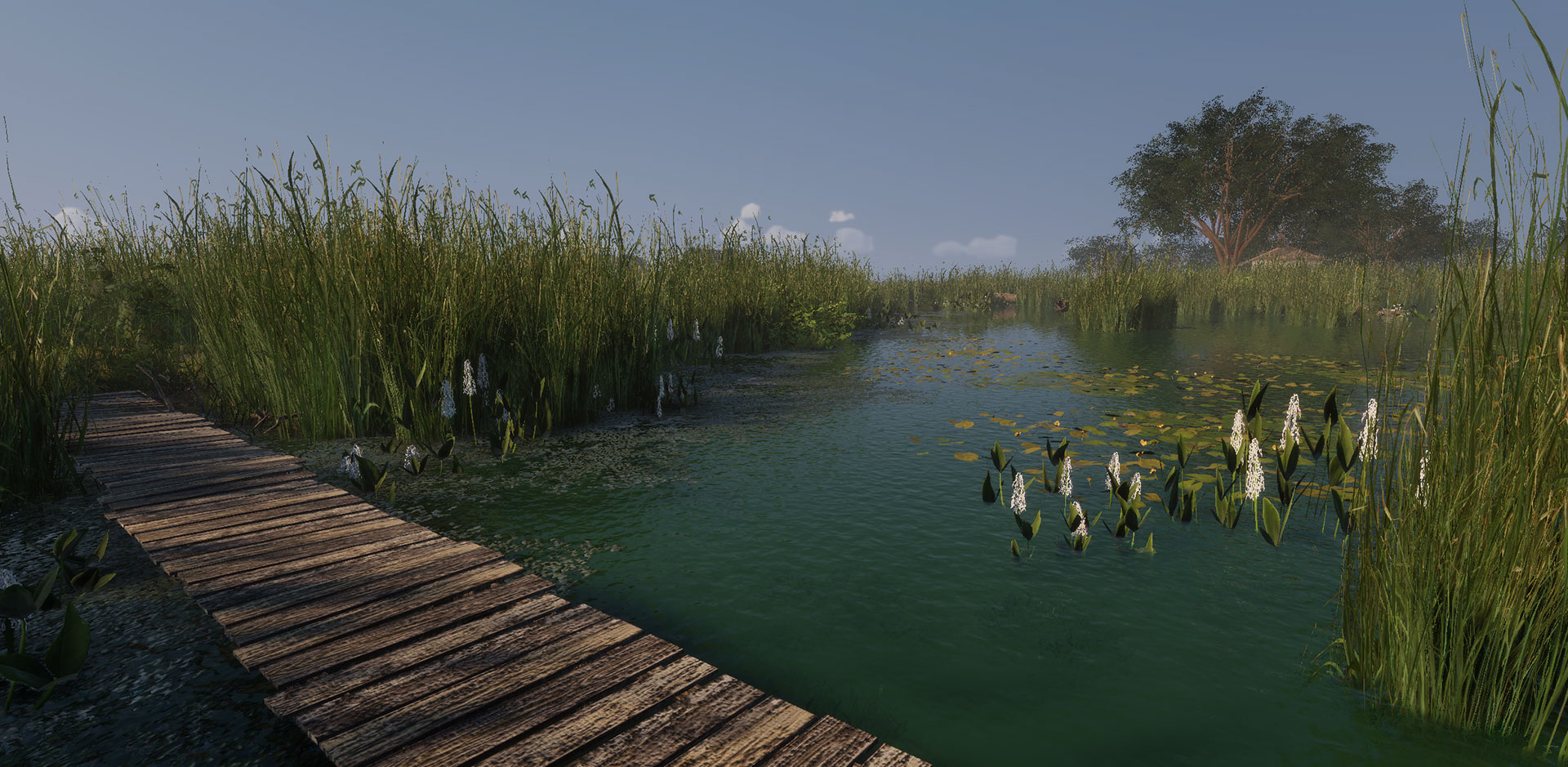 MLF Pro Catch Videogame